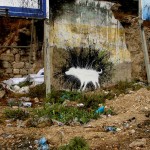 Banksy Wet Dog