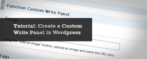 Custom Write Panels with Functions.php Custom Write Panels with Functions.php