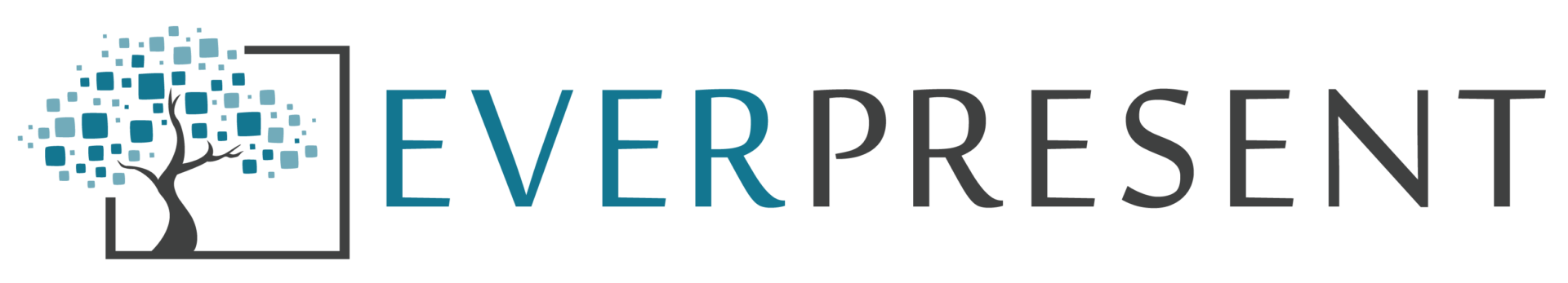 EverPresent: WordPress development and analytics for photo and video digitization