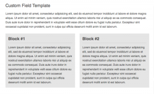 Custom Field Template Result Custom Field Template Result