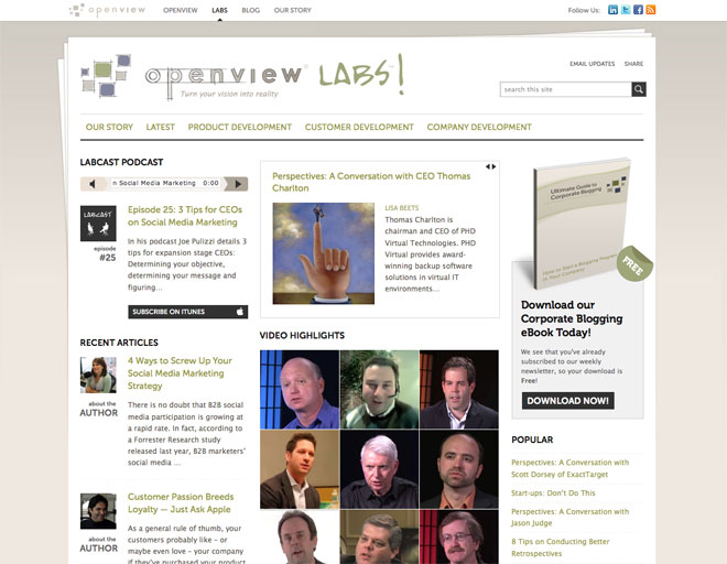 The entire OpenView multisite network is powered by WordPress - and me!